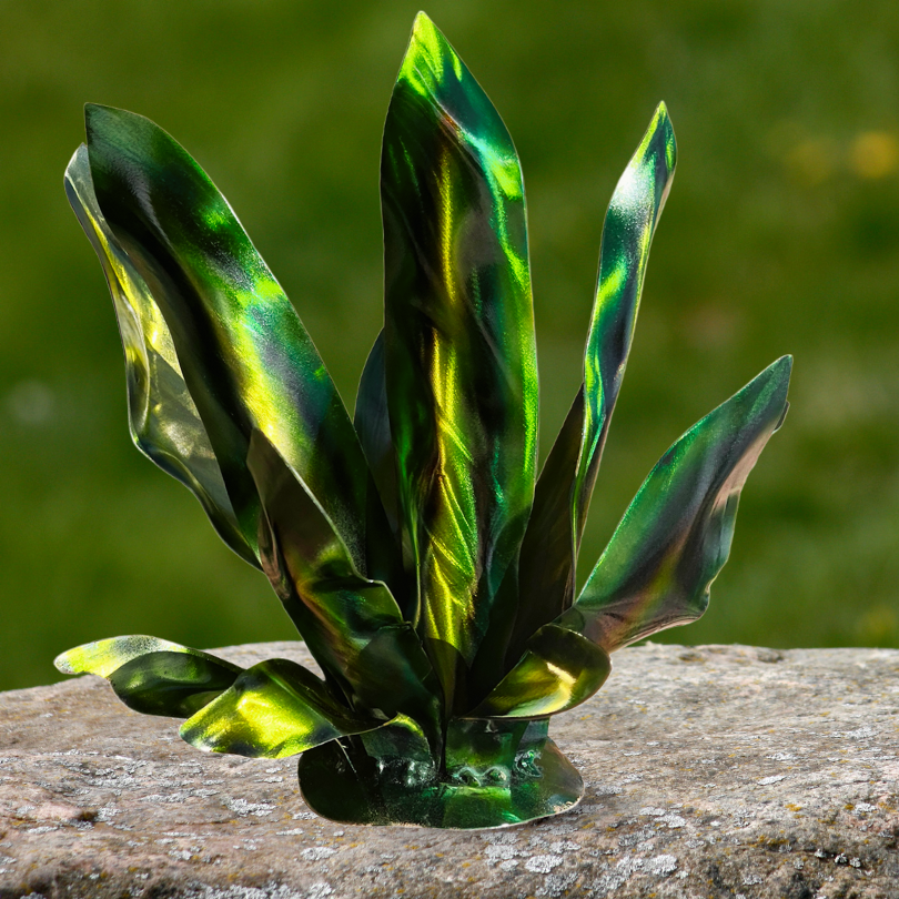 Desert Party Plant - Agave Style 11" x 12"