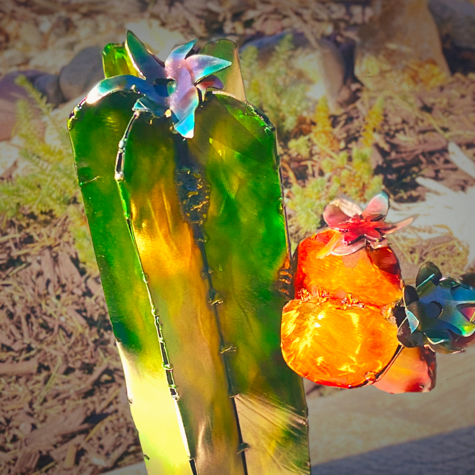 Sleek and Slender Cactus