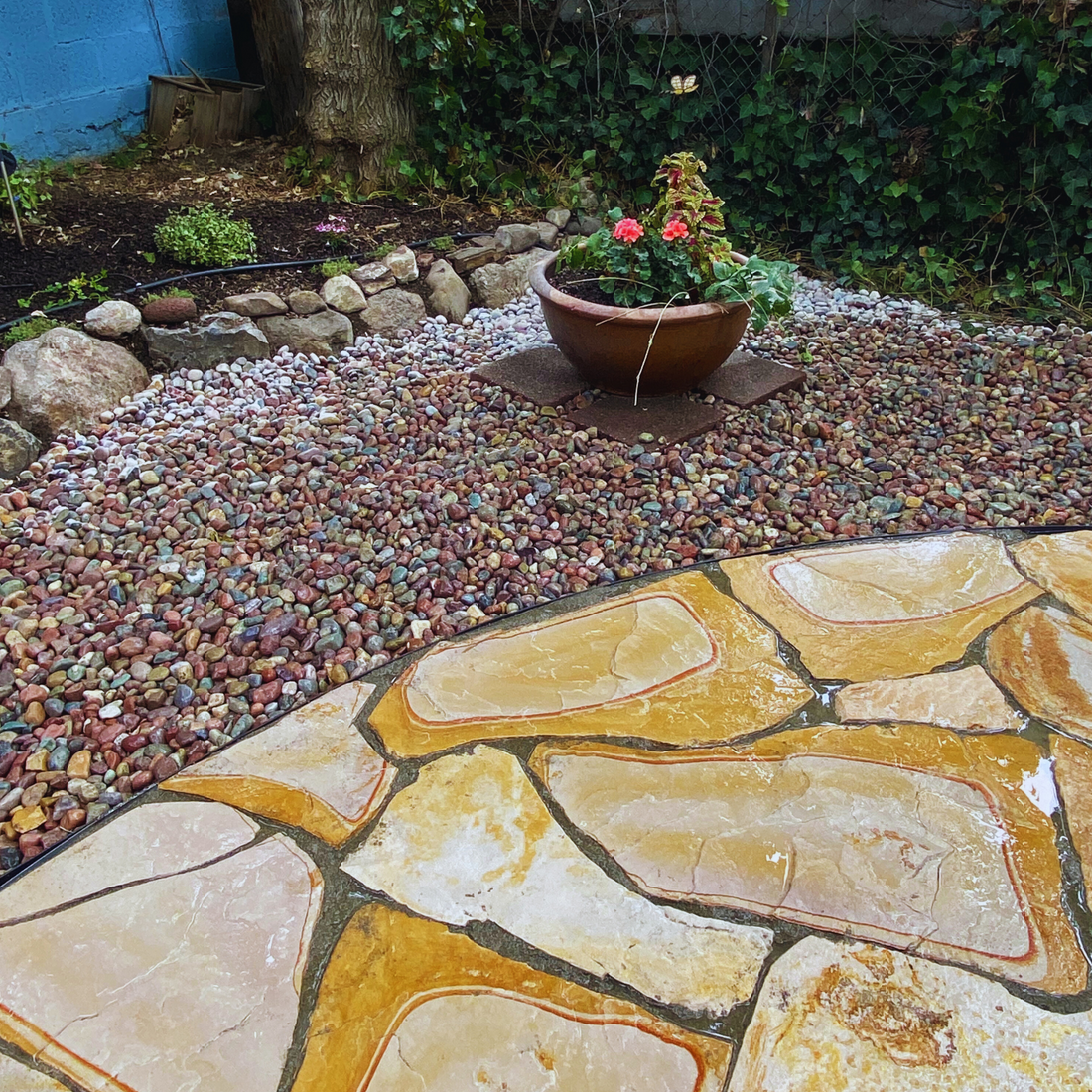 Flagstone Patio, rainbow rock pebbles, raised planter pot, and ivy in a backyard landscape