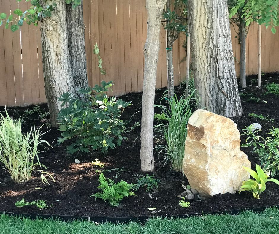 zen garden green space landscape, with greenery, fresh soil and mulch, edging curves, grass, ferns, hostas, and a big boulder